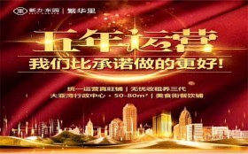 新力开发商怎么样,襮新力繁华里