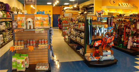 英国在线宠物用品销售热潮 商铺旺铺现象解析