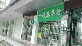 黄山路精装修旺铺急转，毗邻中科大第四医院，理想精品水果店选址